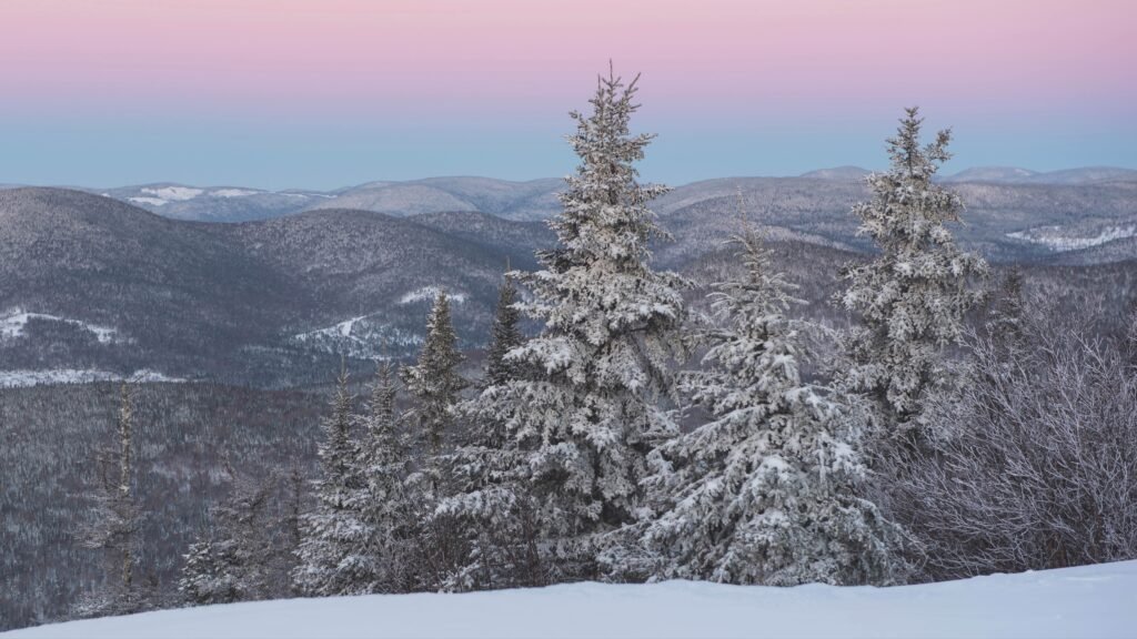 © GouvQC_Gagnon, Francis